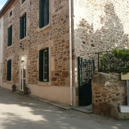 Les Terres Basses Hotel Fabrezan Bagian luar foto