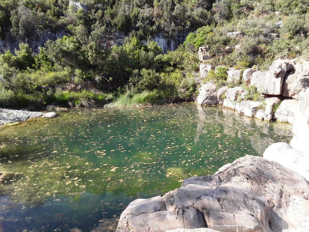 Les Terres Basses Hotel Fabrezan Bagian luar foto