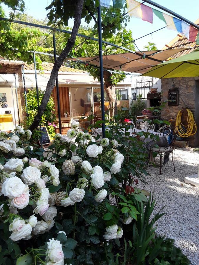 Les Terres Basses Hotel Fabrezan Bagian luar foto