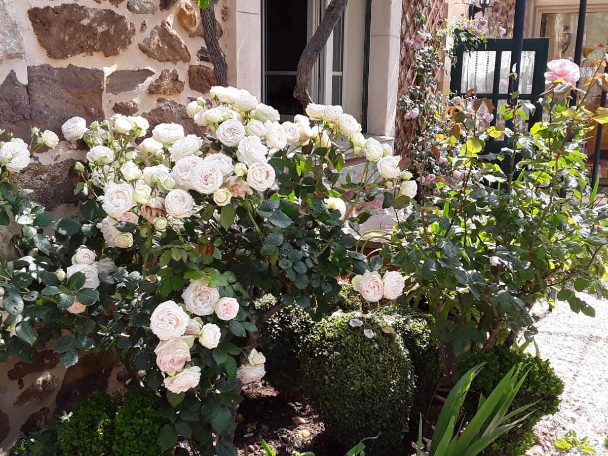 Les Terres Basses Hotel Fabrezan Bagian luar foto